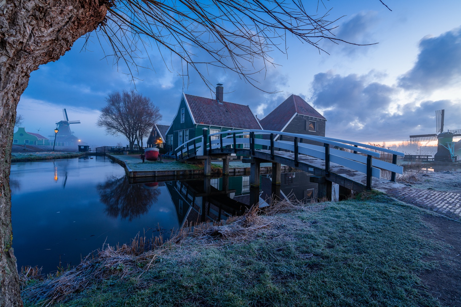A blue-hour twilight scene with deep, even blue light