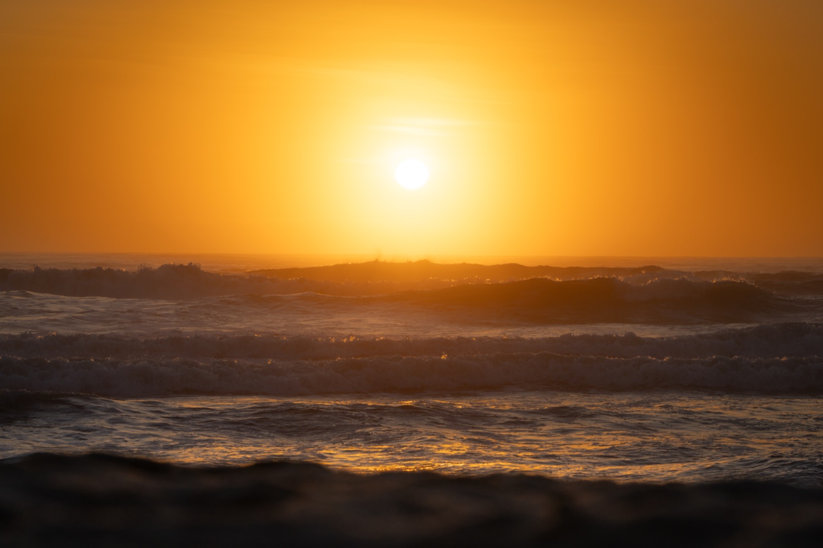 A low sun burning through breaking surf at the coast, the whole frame washed in deep golden light with the shadowed backs of the waves in the foreground