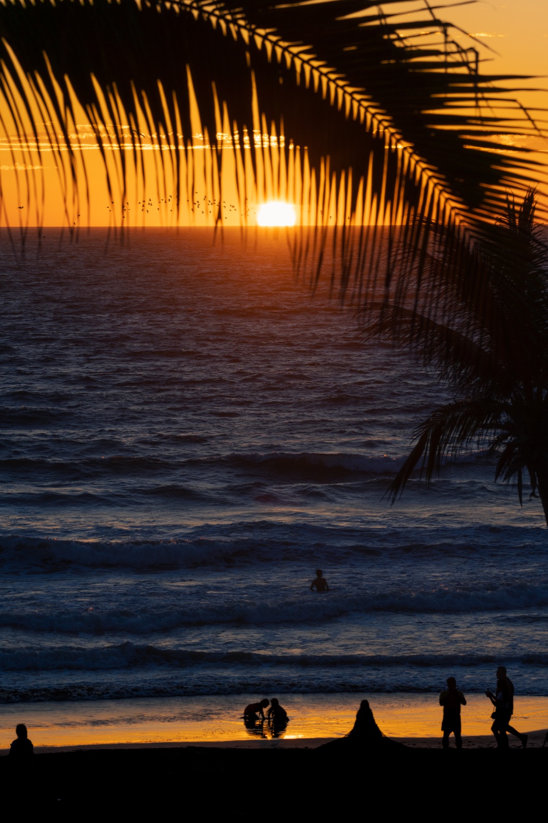 A golden-hour sea sunset — timing the light