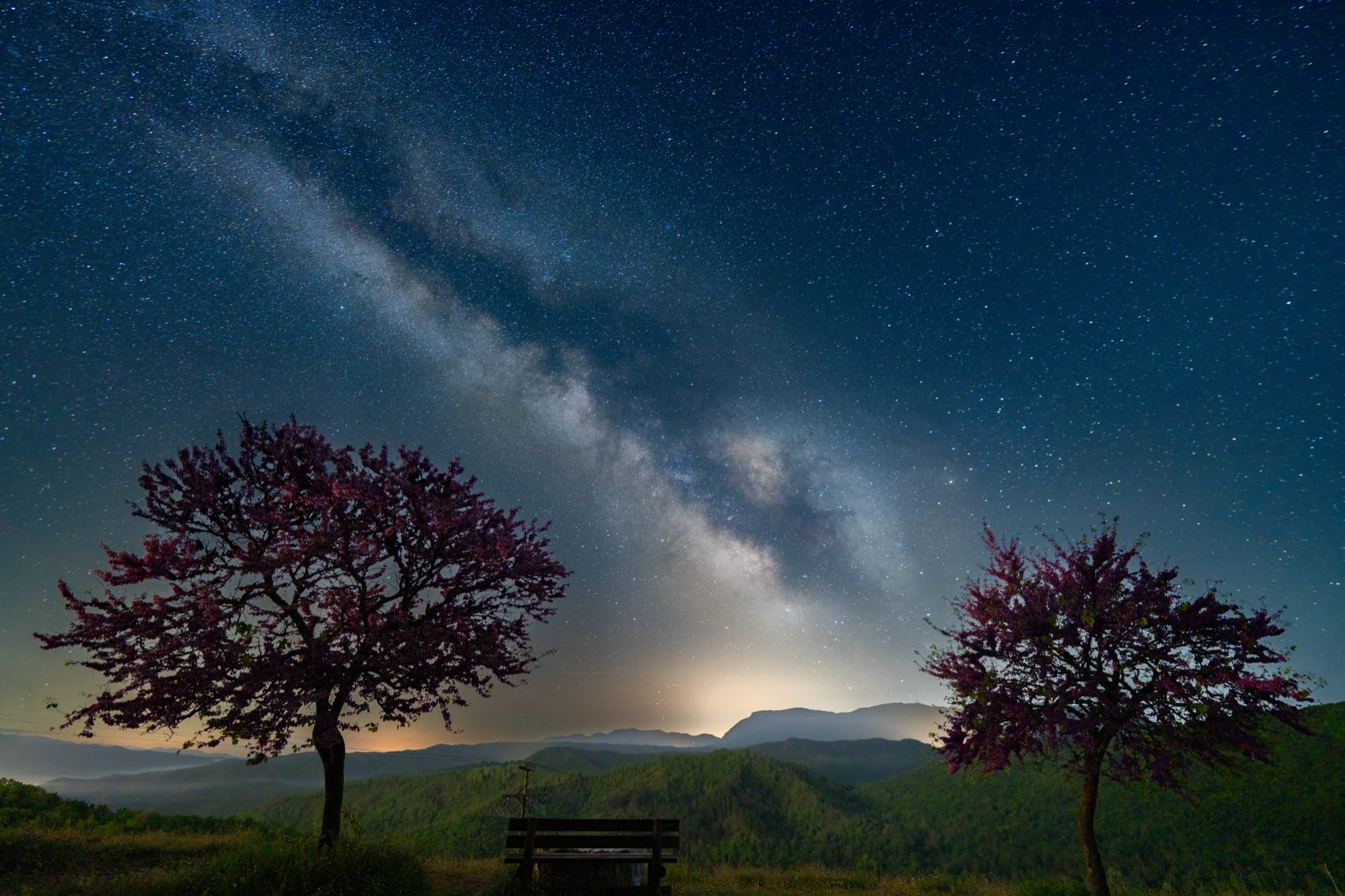 The Milky Way over blossoming trees and a bench on a hillside