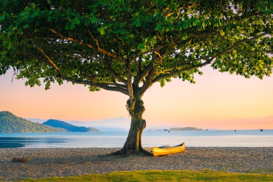 Dawn over a quiet lake — the kind of morning Viewpoint is built for
