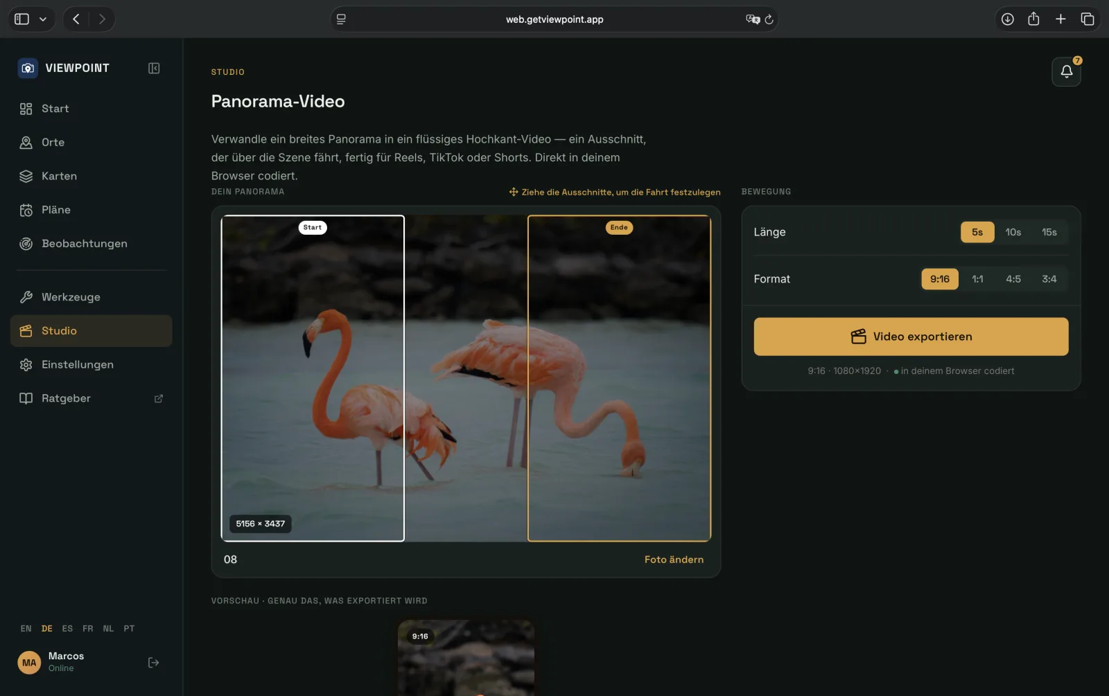 Panorama Pan in der Viewpoint-Web-App: ein breites Flamingo-Foto mit ziehbaren Start- und End-Schwenkfenstern darüber gesetzt, den Steuerungen für Länge und 9:16-Format, einer Schaltfläche zum Video-Export und einer maßstabsgetreuen vertikalen Vorschau — alles im Browser kodiert.