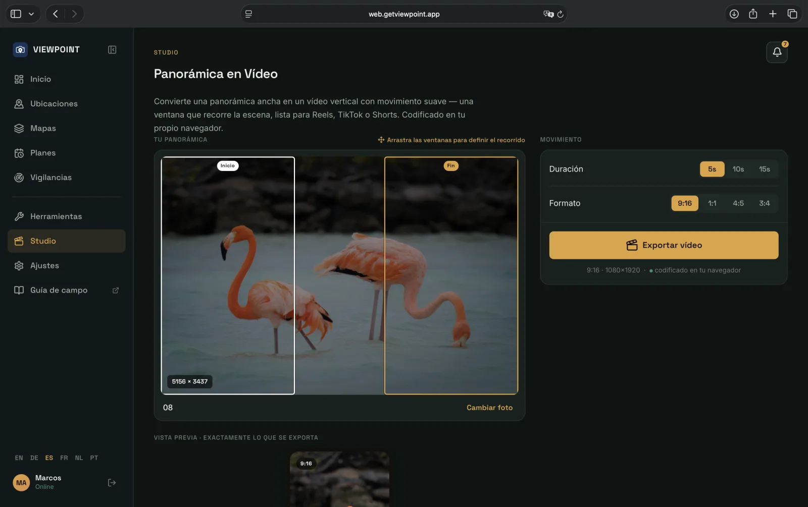 Panorama Pan en la app web de Viewpoint: una foto amplia de flamencos con ventanas de barrido de Inicio y Fin arrastrables colocadas sobre ella, los controles de Duración y de Formato 9:16, un botón de Exportar vídeo y una previsualización vertical fiel al resultado, todo codificado en el navegador.