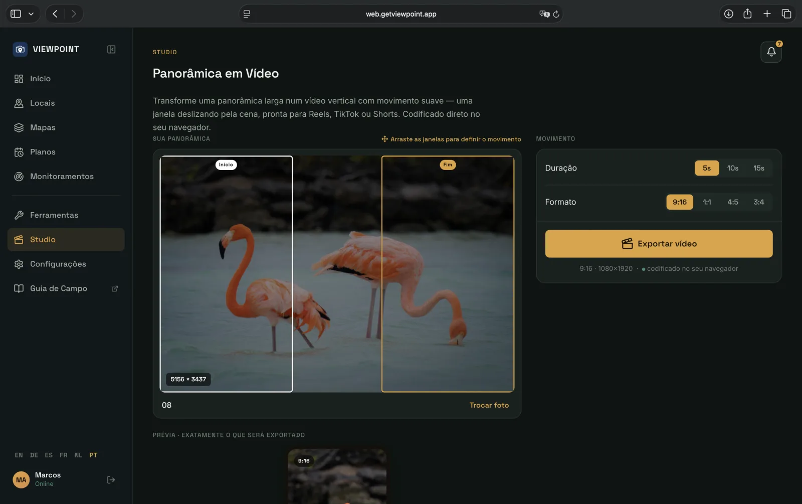 Panorama Pan no app web do Viewpoint: uma foto ampla de flamingos com janelas de início e fim da panorâmica arrastáveis posicionadas sobre ela, os controles de Duração e de Formato 9:16, um botão Exportar vídeo e uma prévia vertical fiel à saída — tudo codificado no navegador.