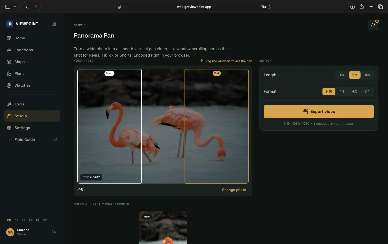 Panorama Pan in the Viewpoint web app: a wide flamingo photo with draggable Start and End pan windows set across it, the Length and 9:16 Format controls, an Export video button, and a true-to-output vertical preview — all encoded in the browser.